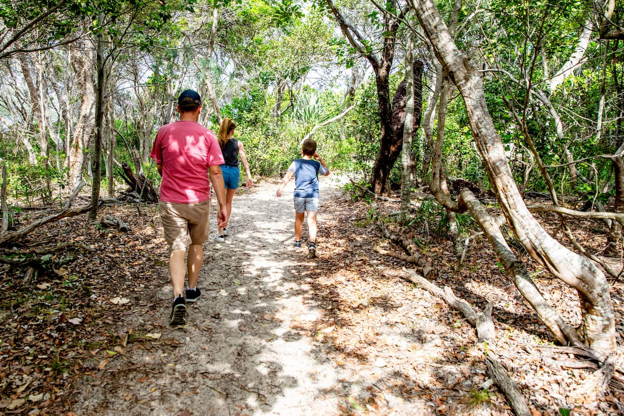 Why do we love the great outdoors? The answer could be in our genes ...