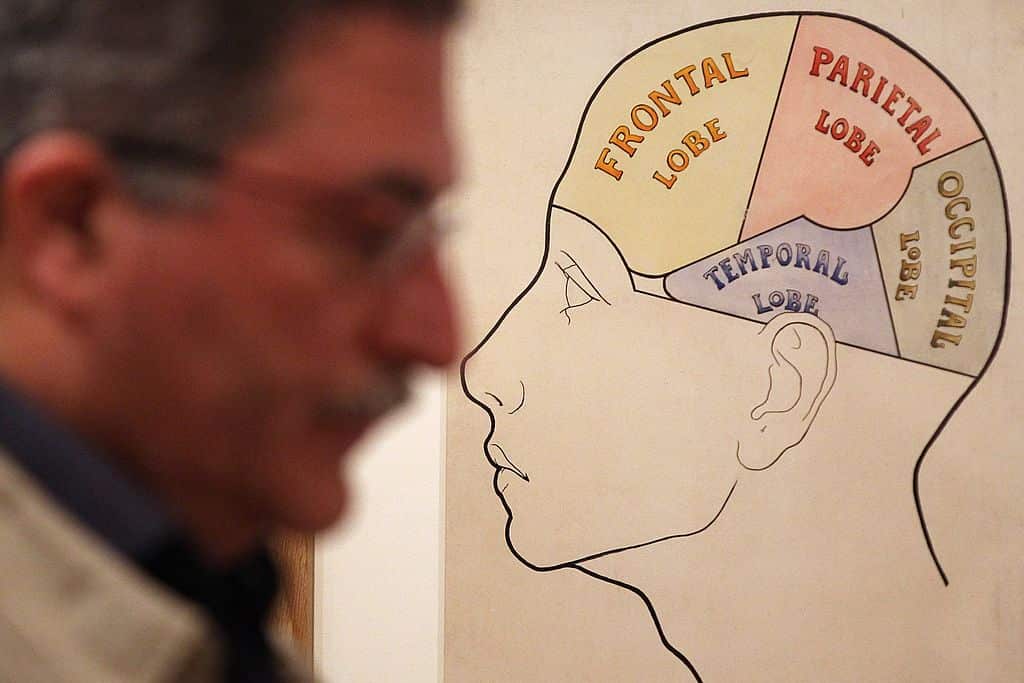 Picture of a brain and its areas