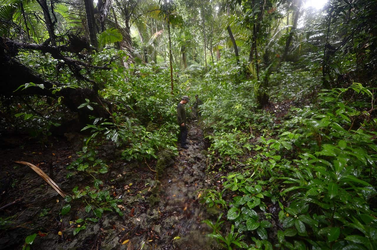 Members of the Javan Rhino Study and Conservation Area inspect Ujung Kulon National Park.