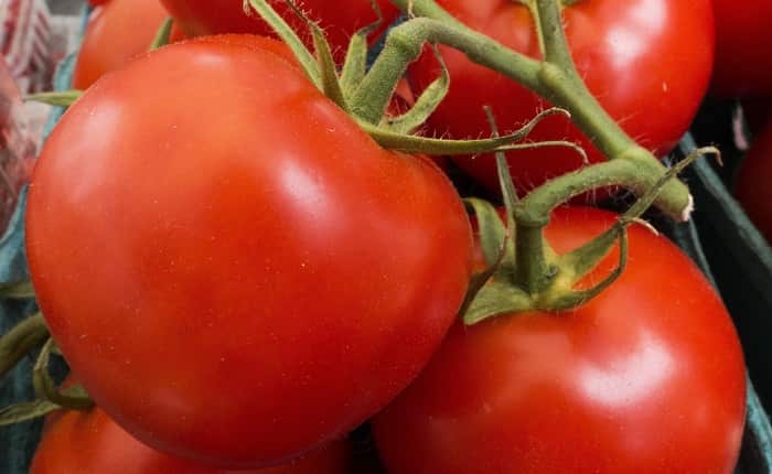 tomatoes
