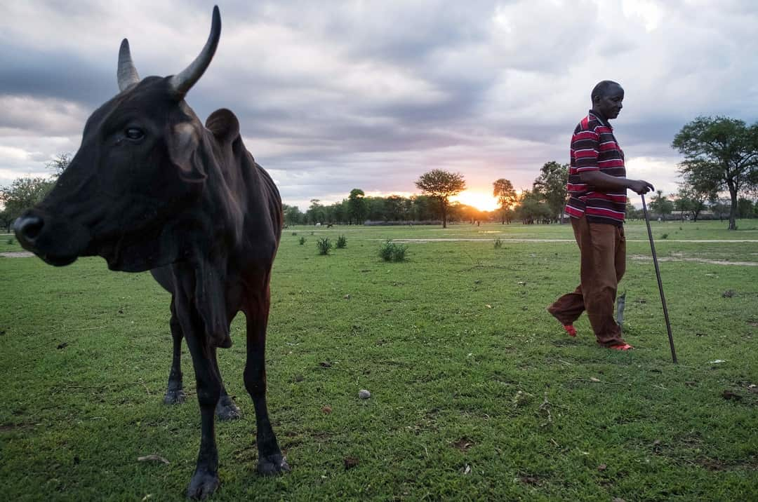 The report said climate change will be a major "loss of agricultural productivity".