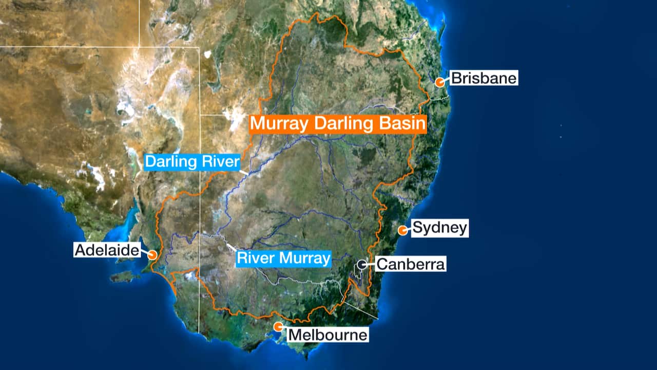 The South Australian government wants a judicial investigation into allegations over the use of water from the Murray-Darling Basin.