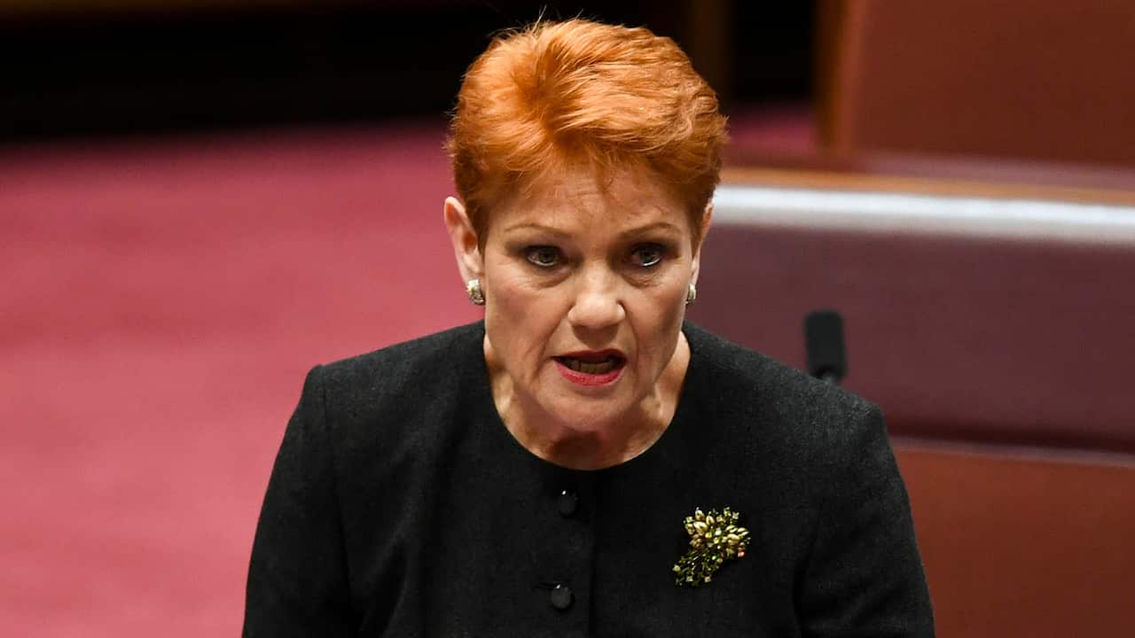 One Nation leader Pauline Hanson in the Senate