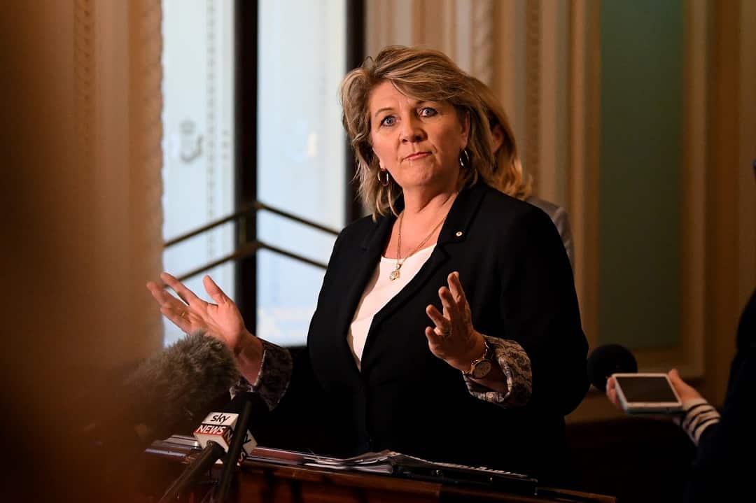 Founder and executive chair of Bravehearts Hetty Johnston has described the proposed national register as a political stunt. 