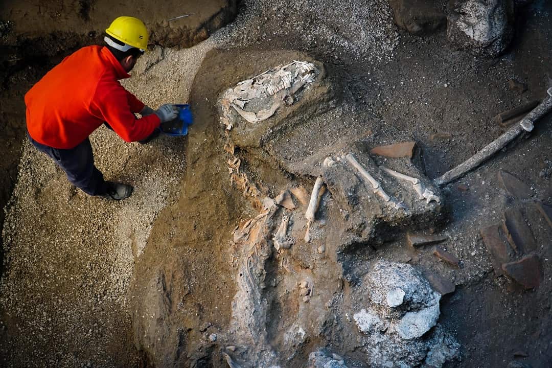 An expert works on a horse skeleton in an ancient stable during excavations in Pompeii. 