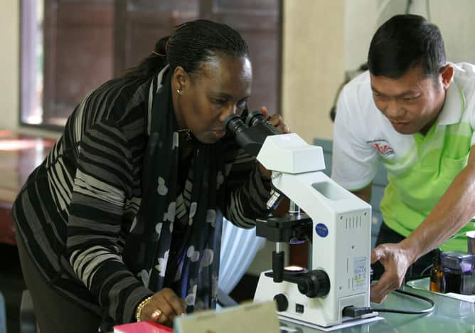 Looking for a new way (Narong Sangnak/EPA).