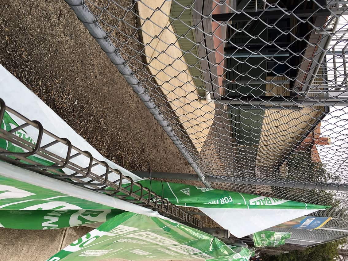 Greens campaign posters the party claims were torn down after an alleged biting incident. 