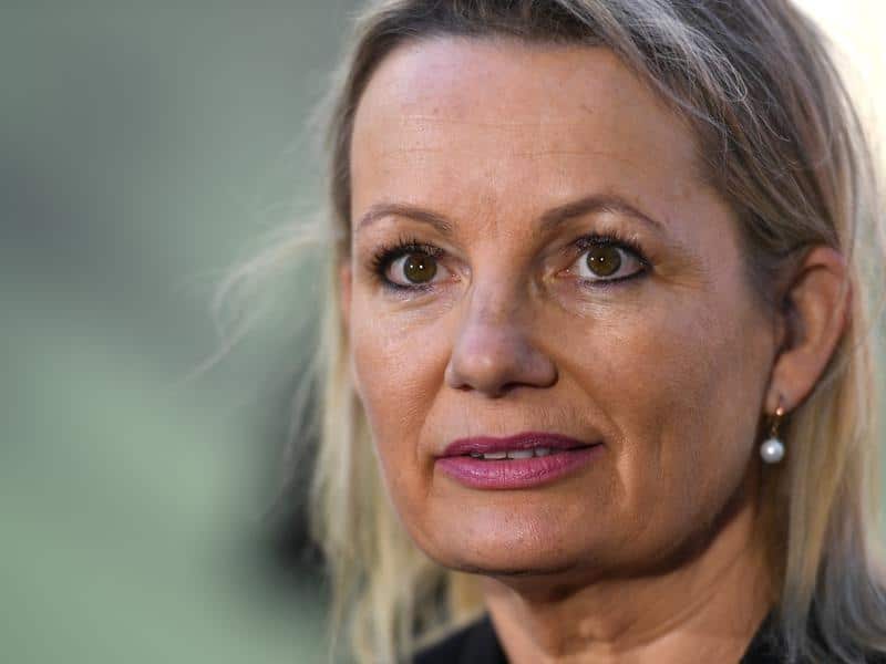 Environment Minister Sussan Ley