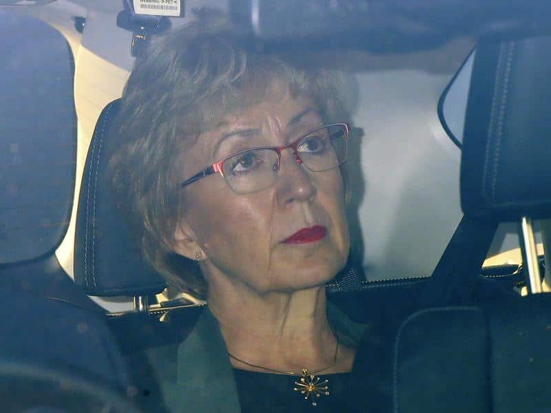 Andrea Leadsom resigned from the government 'with great regret and with a heavy heart'. She's an active 'no dealer'.