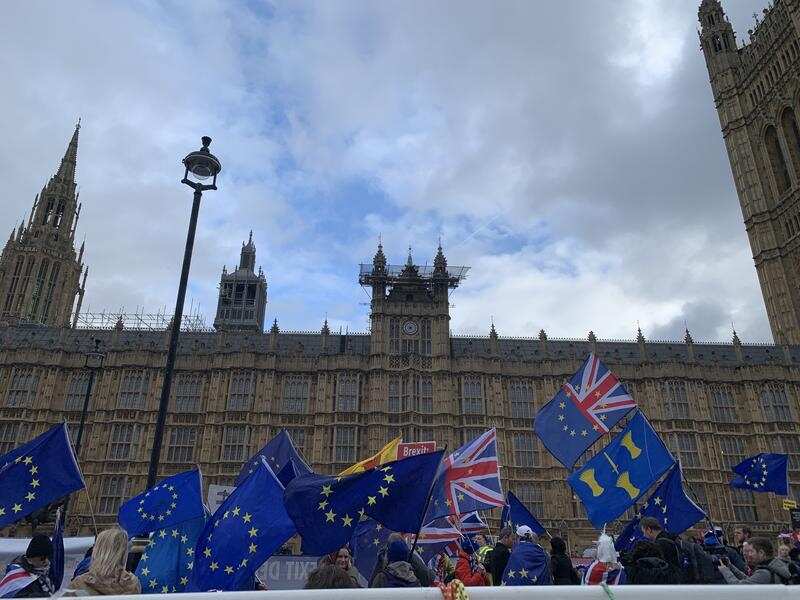 Pro and anti Brexit protesters outside parliament.