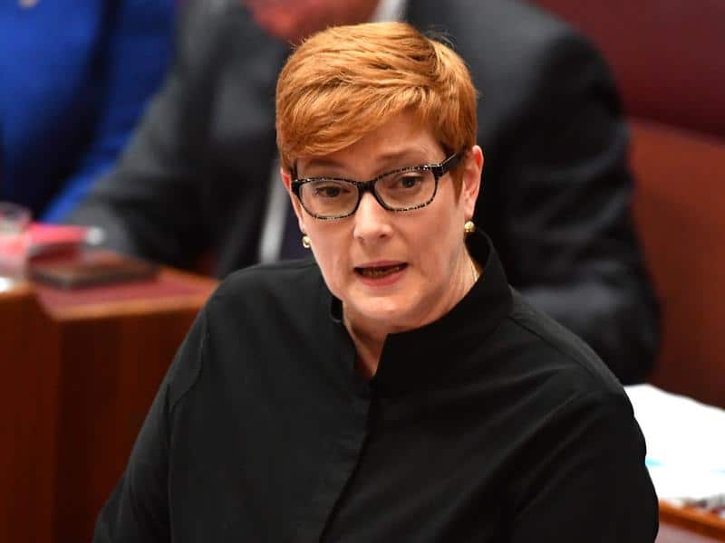 Defence Minister Marise Payne has confirmed an Australian has been detained in Iraq.
