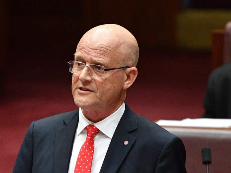 A divided upper house will continue to debate Senator David Leyonhjelm's euthanasia bill.  