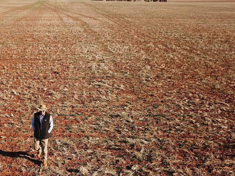 Drought has hit farms across the country.