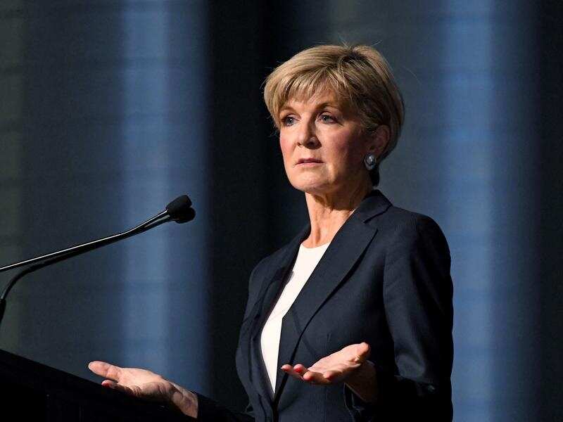 Foreign Minister and Deputy Leader Julie Bishop