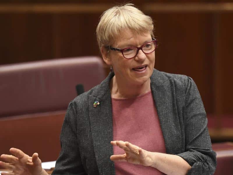 Greens Senator Janet Rice.