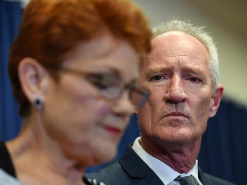 One Nation leader Pauline Hanson speaks with the media, following the scandal involving Steve Dickson. 