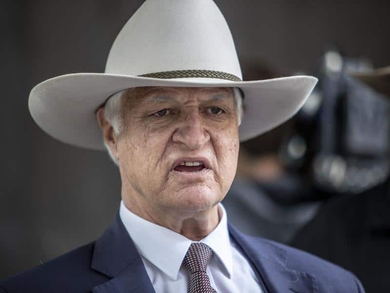 Mr Katter said the president of his Katter’s Australia Party had made it clear Senator Anning's views on race did not align with the party's mission.