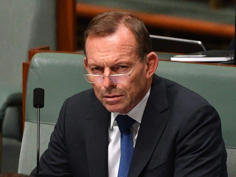 Tony Abbott says he's willing to take back a leadership position within the Liberal party, if asked. 