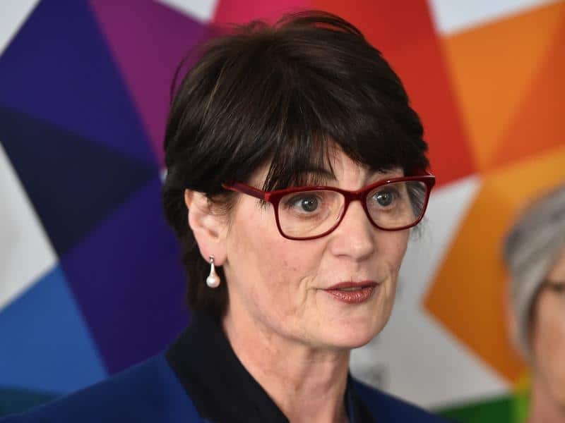 Labor candidate for Higgins, Fiona Mcleod addresses the media.