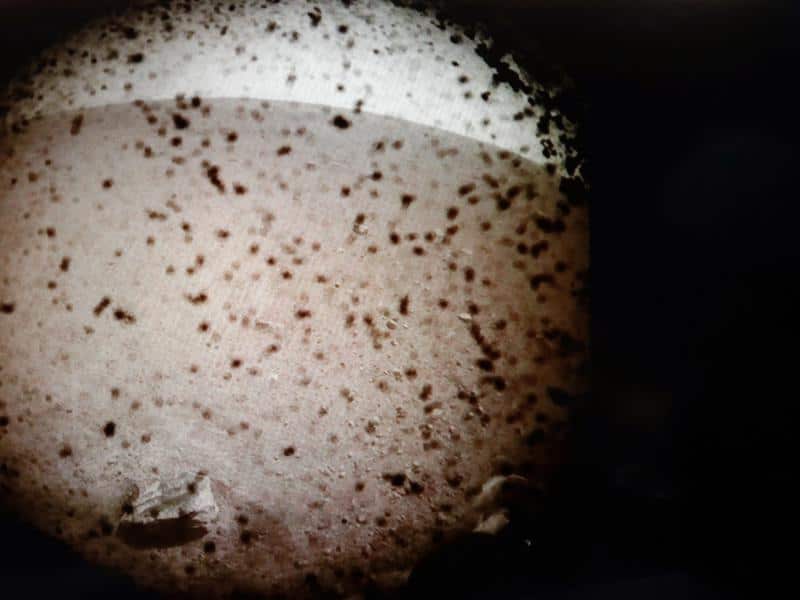 Mars Landing
