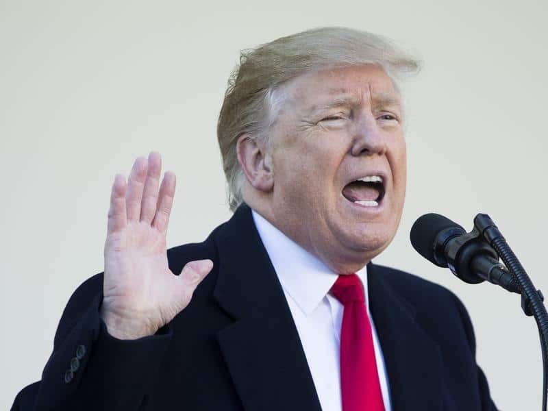 President Donald Trump