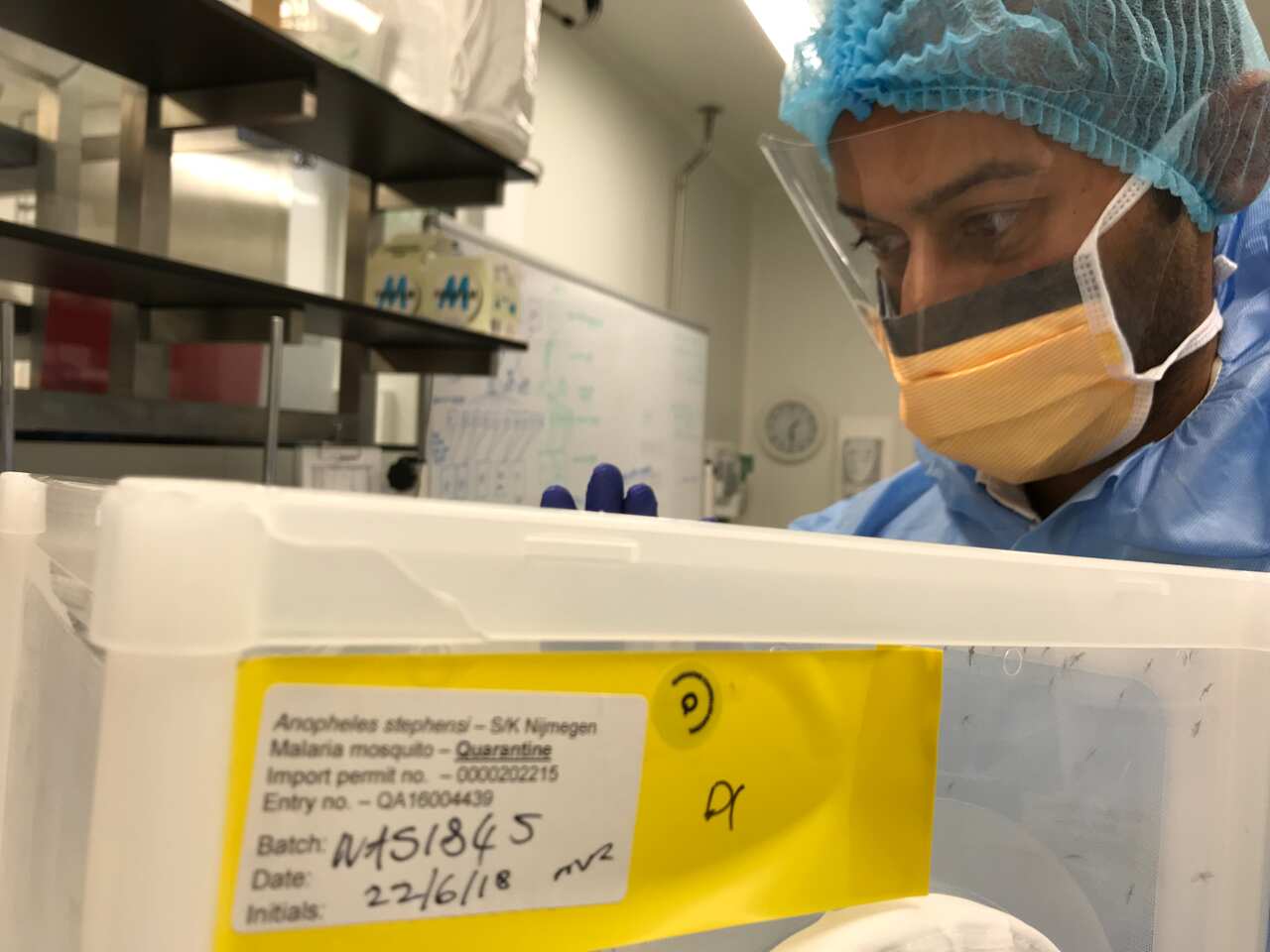 Dr Anand Odedra, clinical researcher into malaria transmission at QIMR Berghofer