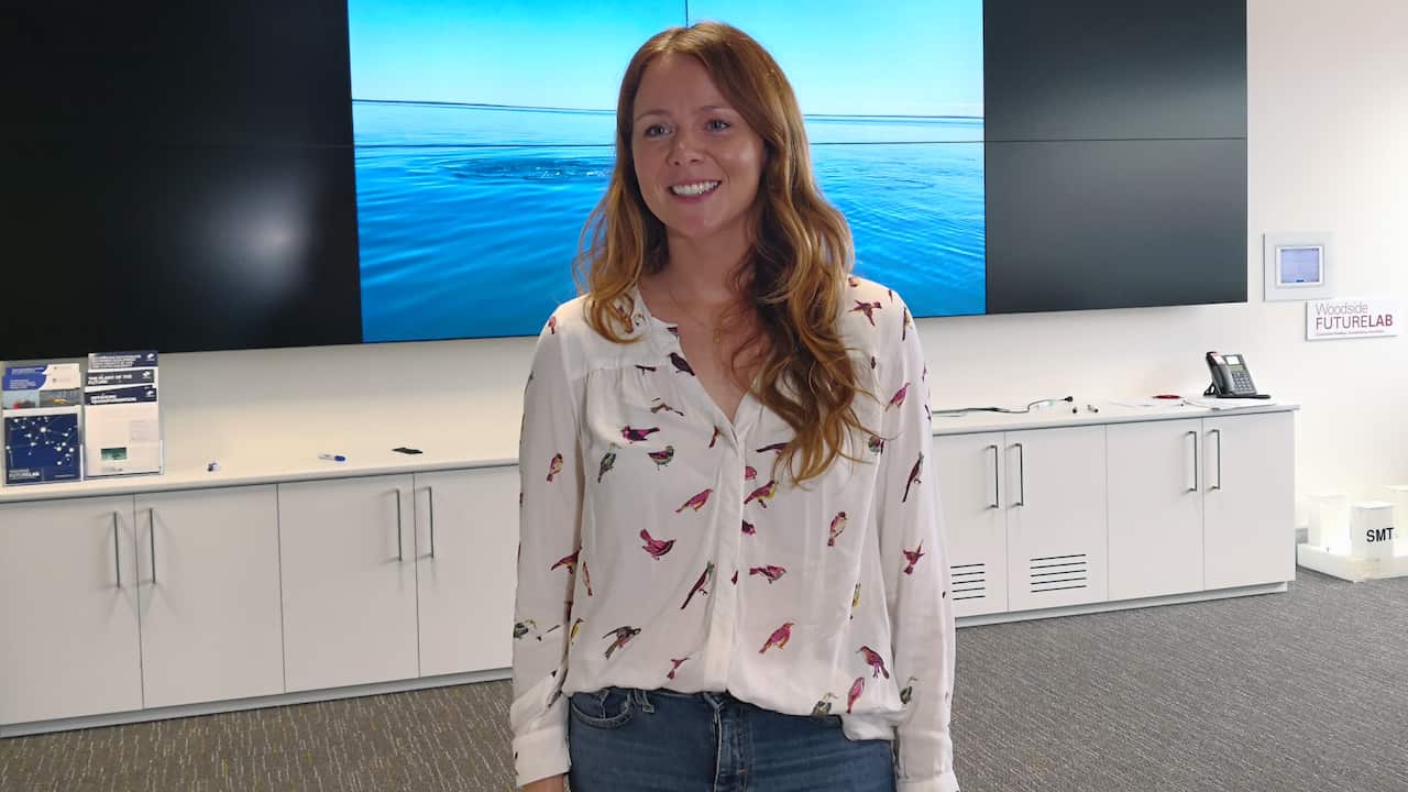 WA Dolphin shark bay research WA