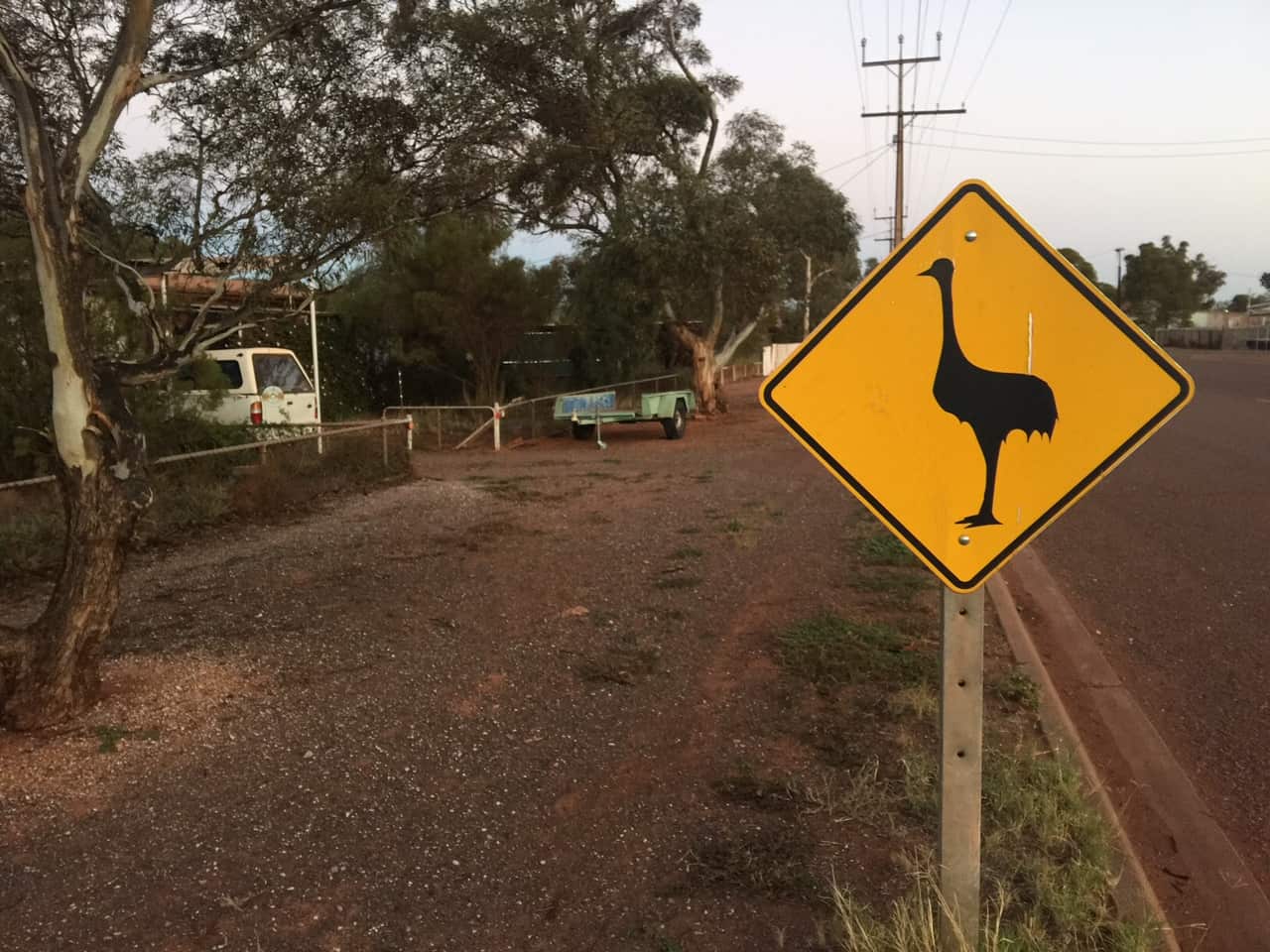 SA