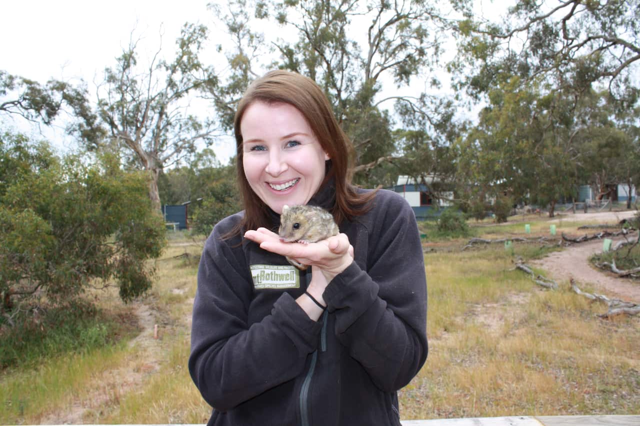 Odonata Bio-diversity Director Annette Rypalski works to save endangered species.