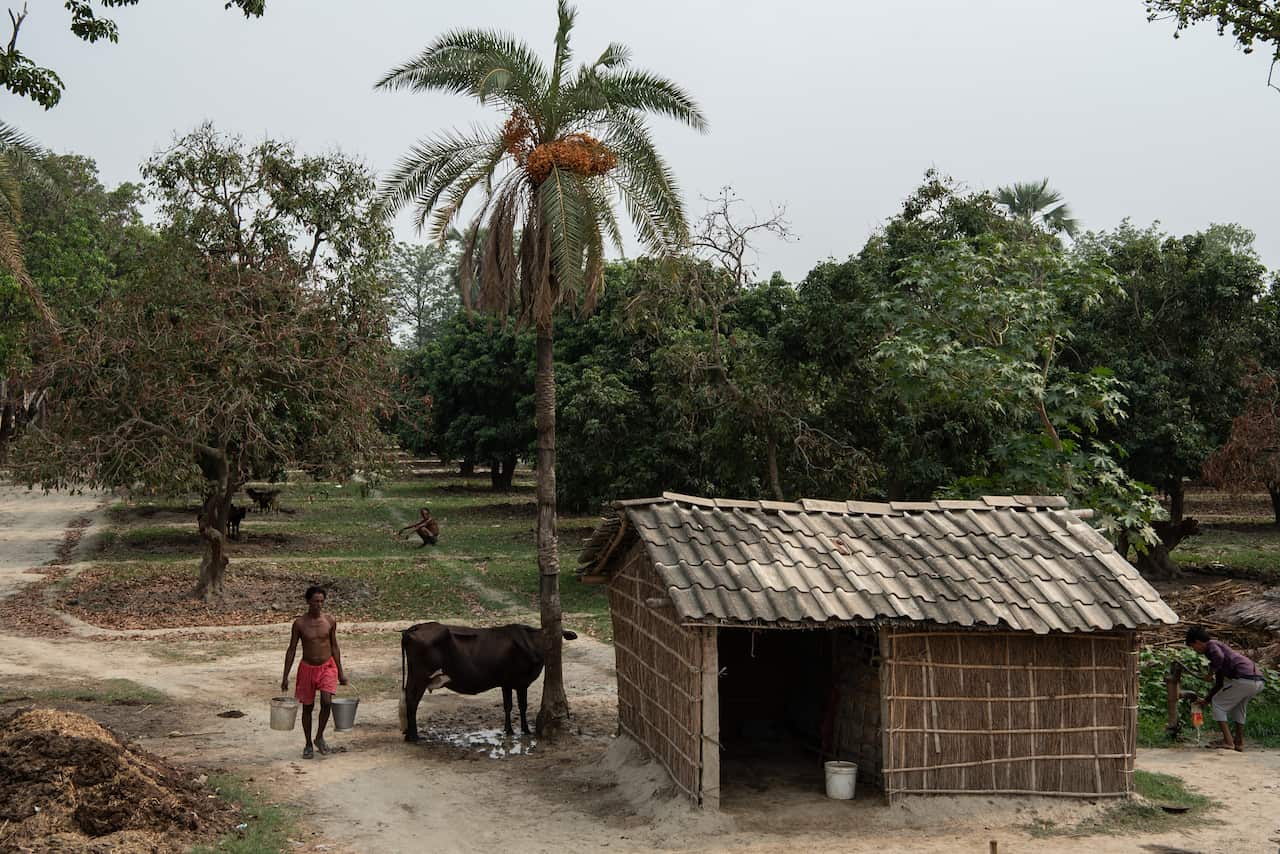 Muzaffarpur produces up to 70 percent of India’s lychees, which have been blamed for a disease afflicting mostly poor children under age 10.