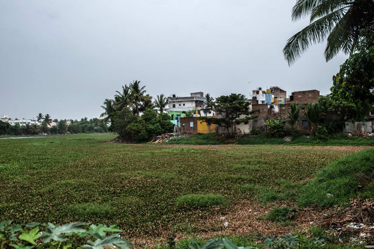 Houses on the edge of a lake in the Velachery neighborhood of Chennai on June 26, 2019. The area has seen rapid growth, some of which has occurred on a former lake-bed.