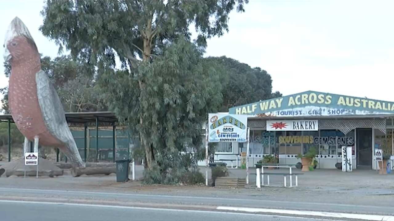 Kimba