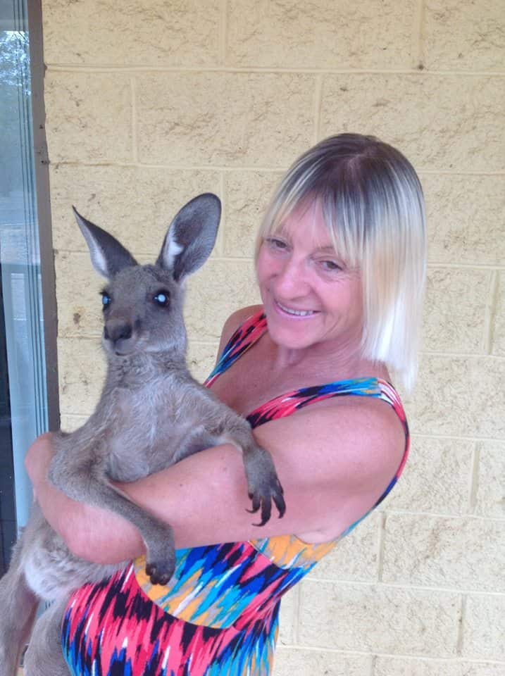Linda Smith has been caring for kangaroos for 15 years. 