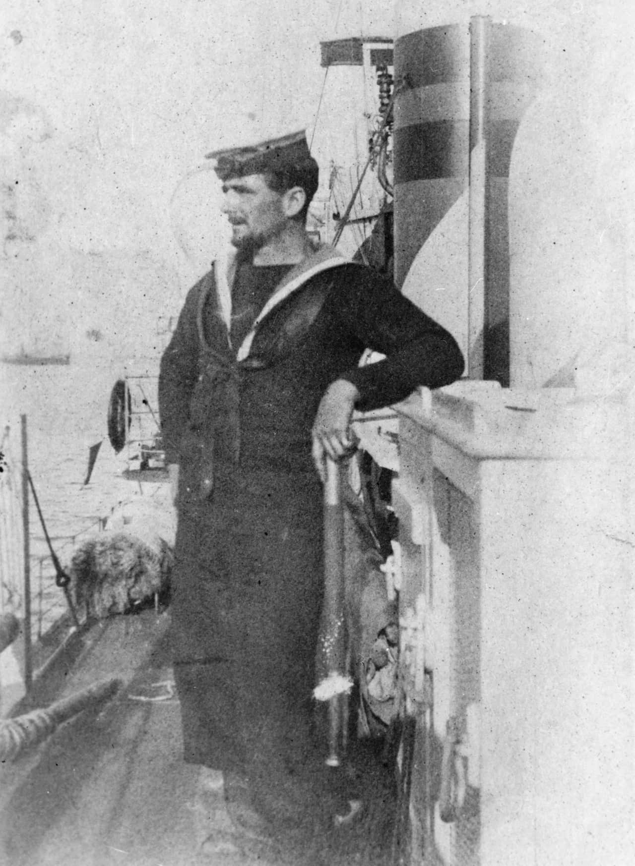 HMS M33