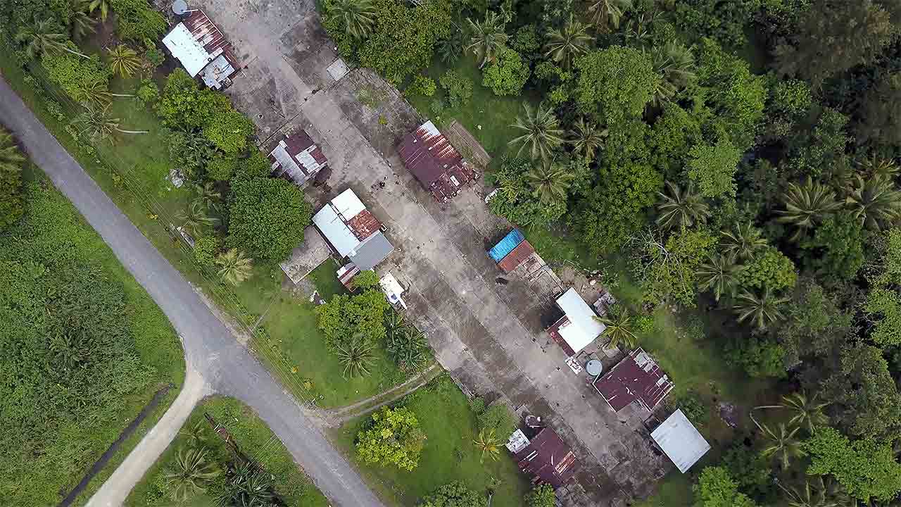 Manus