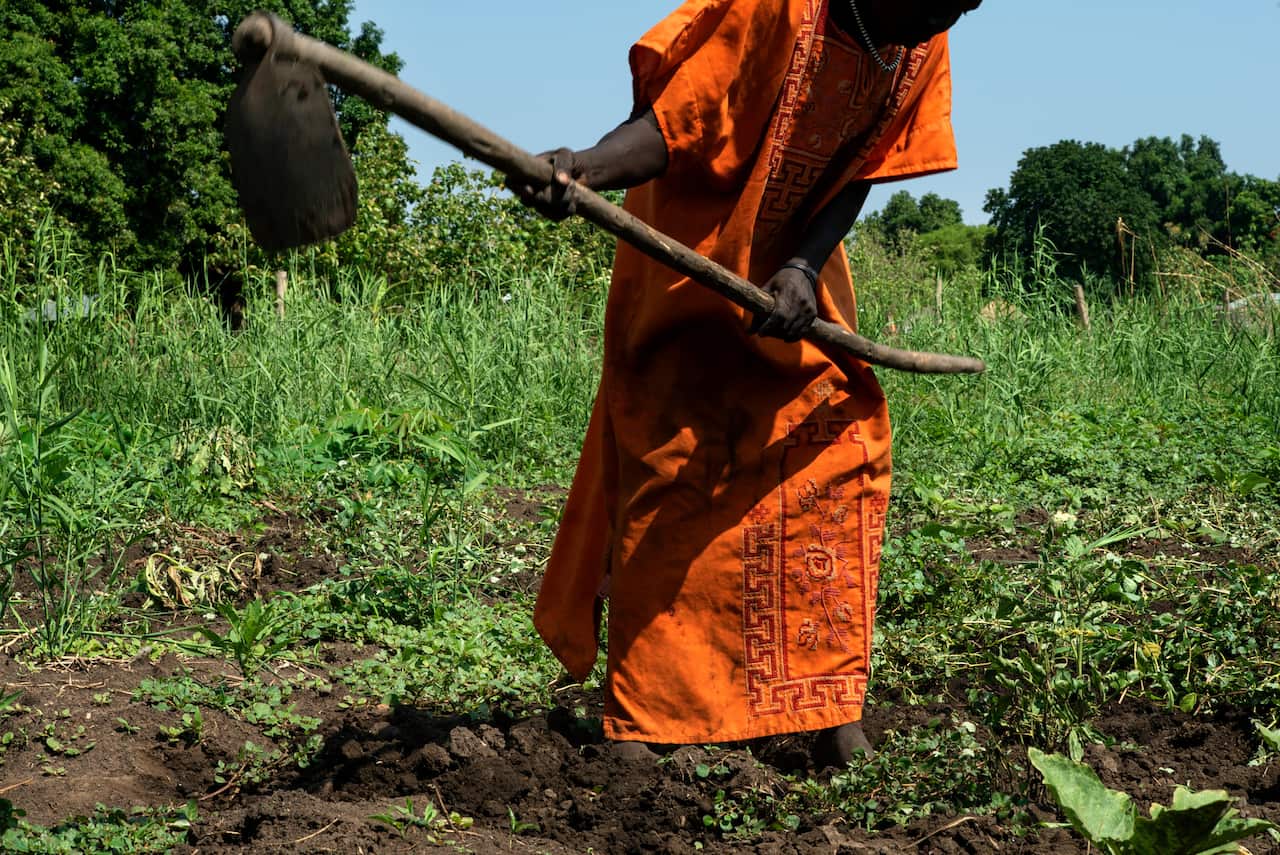Elizabeth Kenyi and her husband grow okra, peppers and tomatoes in their garden. But they say the high inflation rate has made the money they earn useless.