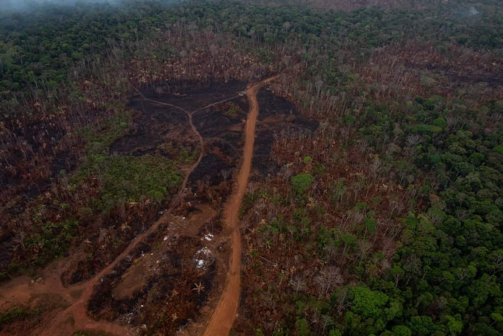 Burned areas surrounded a road near the city of Porto Velho in Rondônia state.