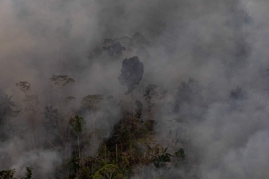 The Amazon rainforest near Porto Velho, Brazil, this week.