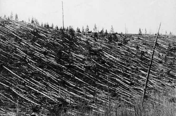 Effects of the Tunguska blast 19 years after the event. Some of the trees flattened by the airburst can still be seen to this day.