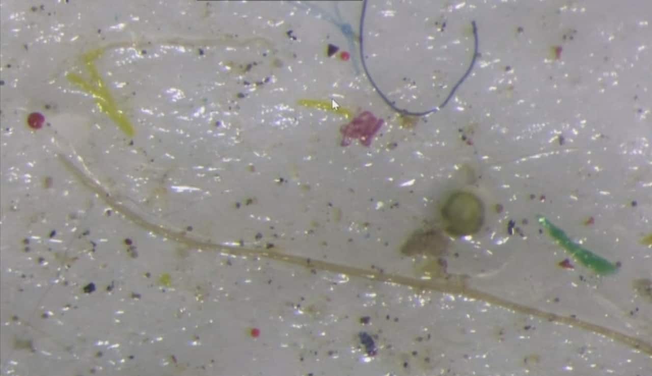 Visible plastic beads and filaments could be seen in various ice samples.