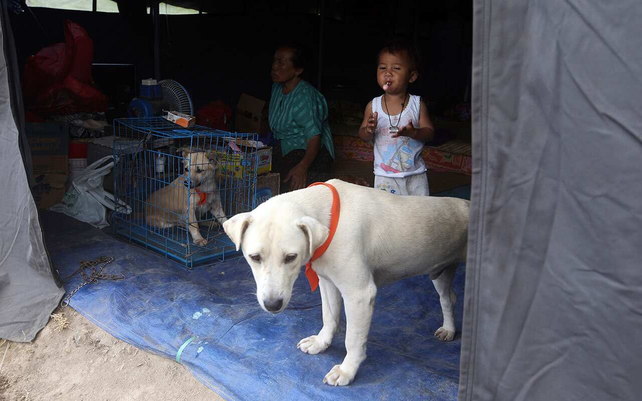 A family carry their dogs in a temporary shelter at an evacuee camp outside of the Mount Agung volcano.