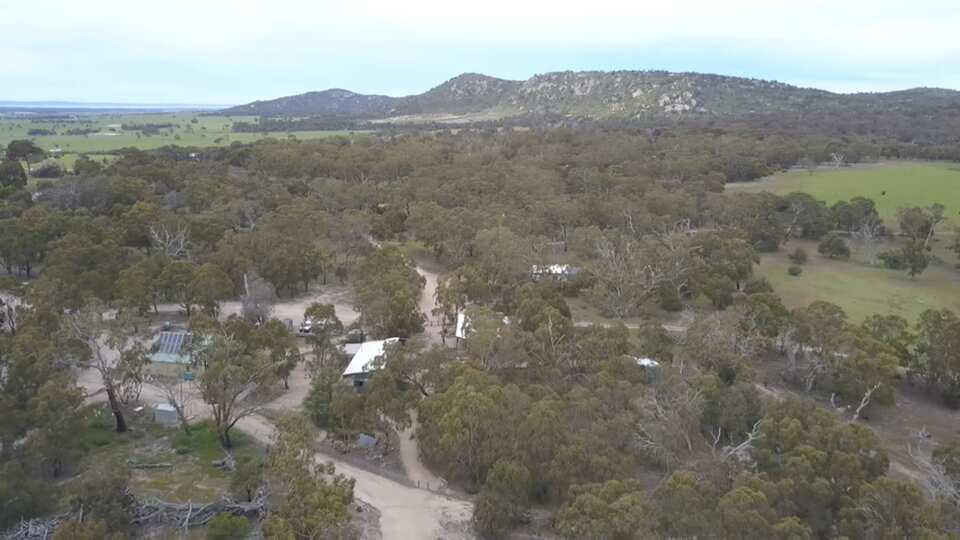 Mount Rothwell The fight to save one of Australia's most endangered native animals ...