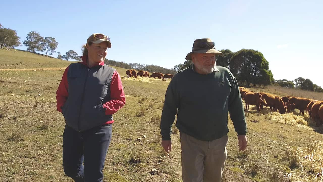  Paul & Tammy must feed their livestock biodynamic fodder to comply with their Demeter certification standards]