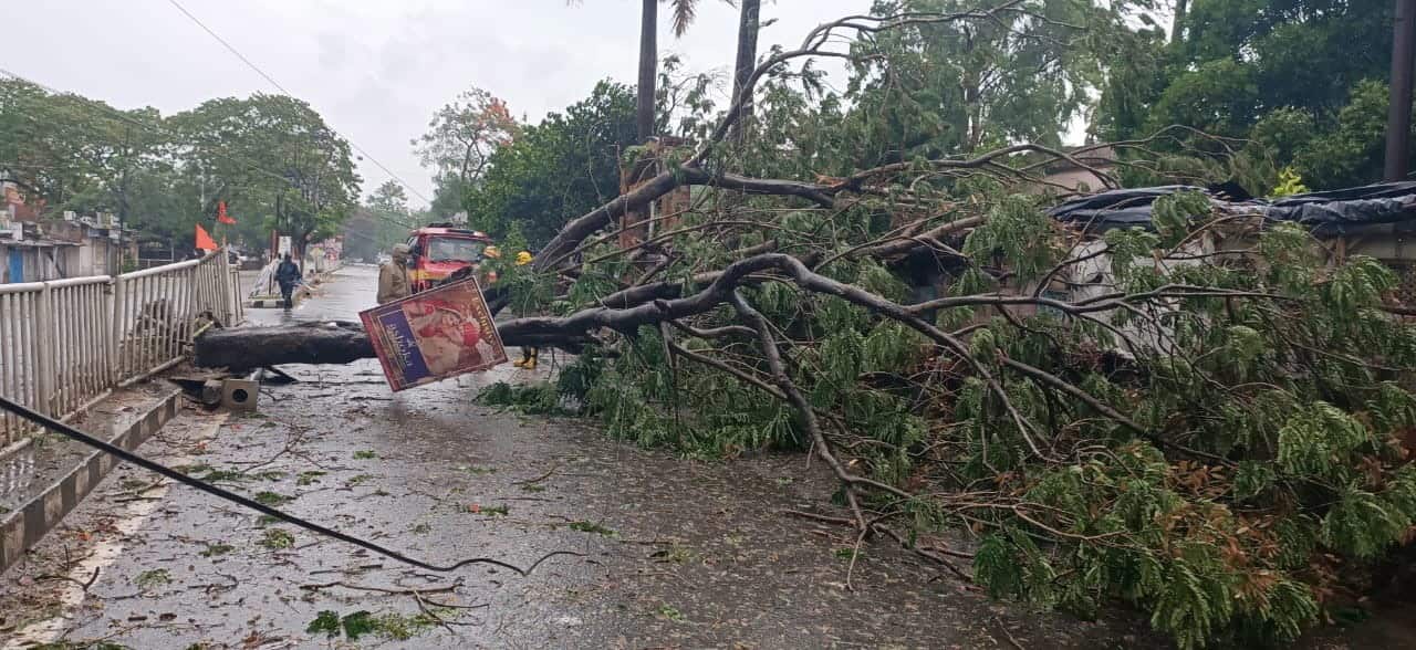 An uprooted tree lies in the middle of a road in the Bhadrak district in Odisha, India (AAP)