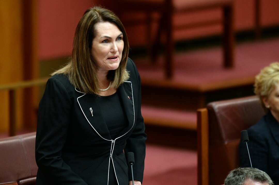Senator Deborah O'Neill delivers her maiden speech in the Senate chamber at Parliament House in Canberra, Wednesday, Dec. 4, 2013. (AAP Image/Alan Porritt) NO ARCHIVING