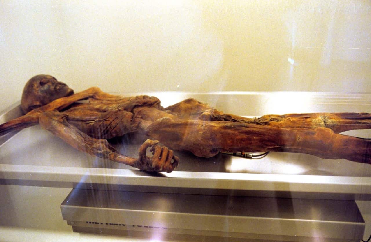 The mummy of a prehistorical hunter discovered in 1991 dubbed Otzi