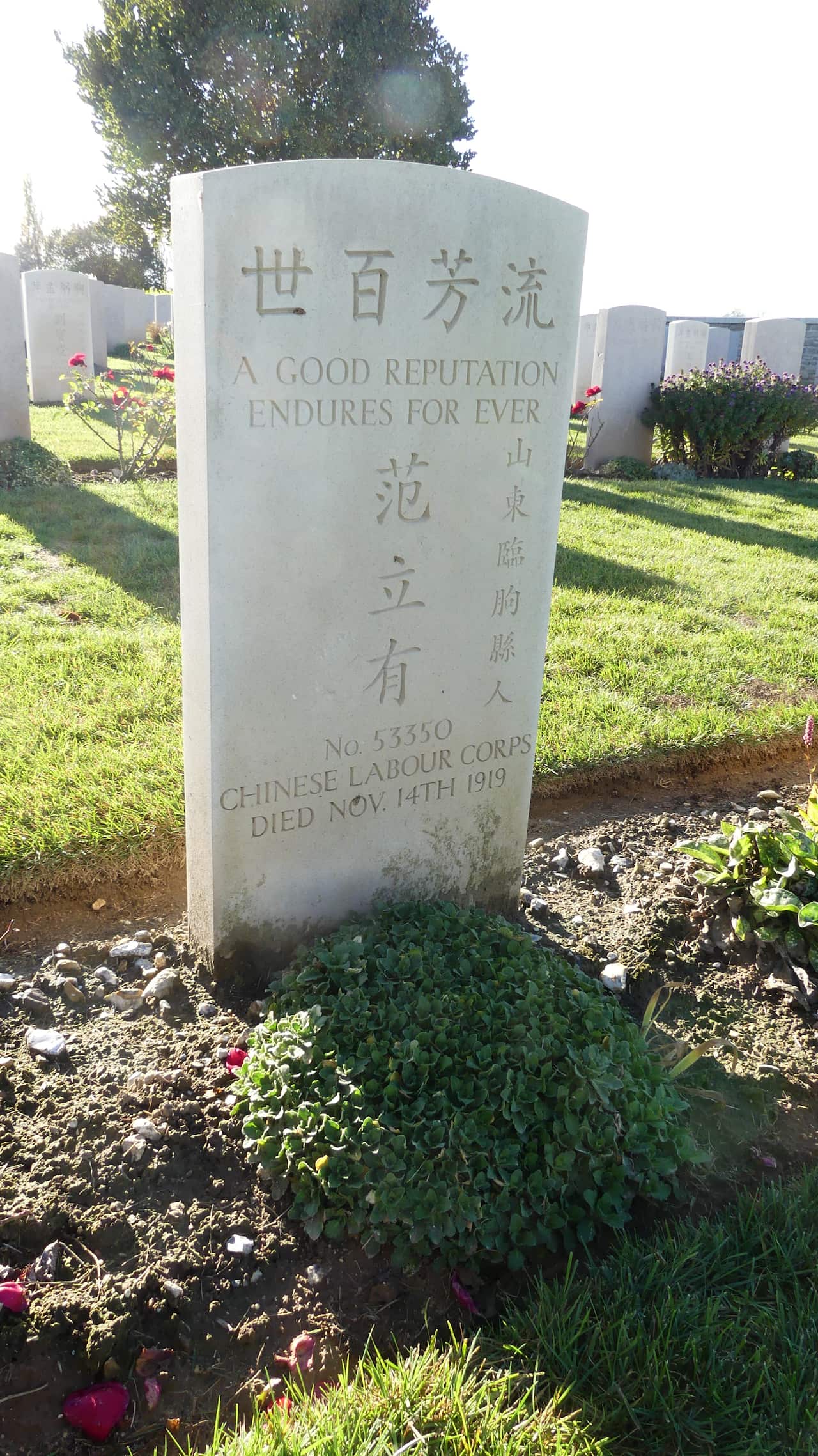 The gravestone of a Chinese-Australian soldier at Noyelles-sur-Mer.