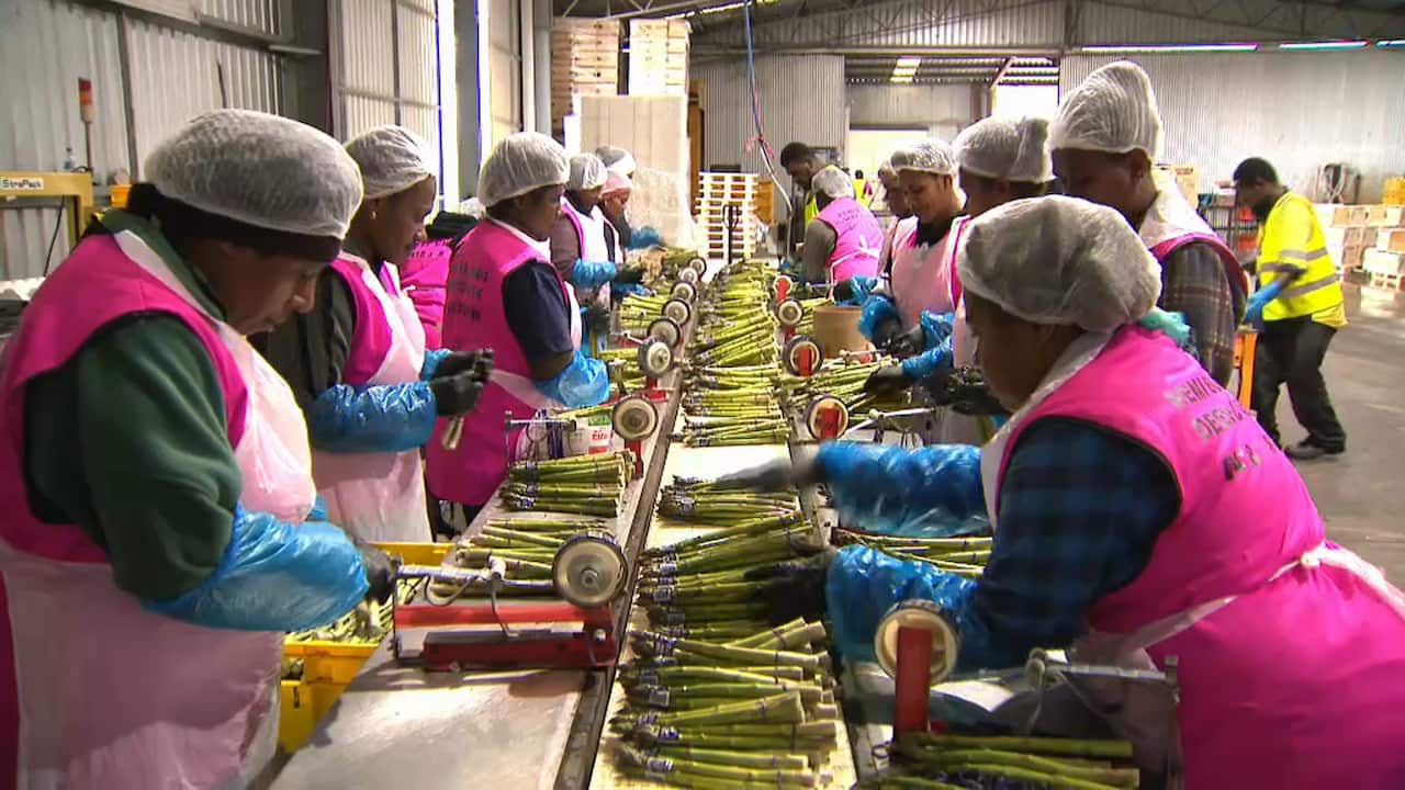 Workers