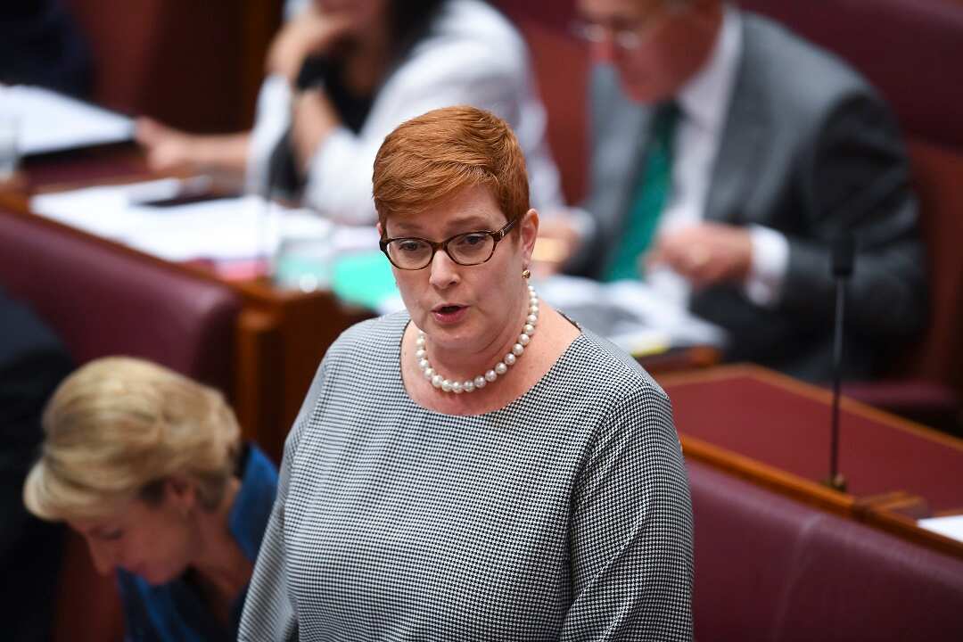 Foreign Minister Marise Payne has urged Australians travelling overseas "don't land in trouble."
