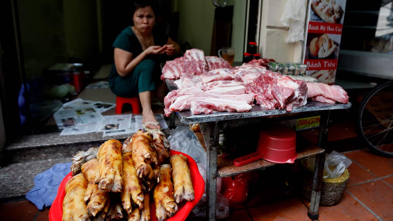 Vietnam has culled over 1.7 million of pigs, or an approximate of 5 percent of the country's pig population.